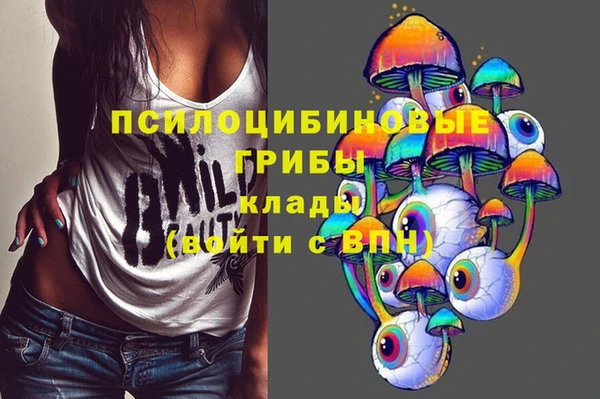 молекула духа Зеленодольск