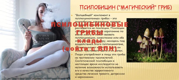 молекула духа Зеленодольск