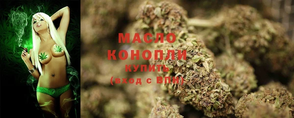молекула духа Зеленодольск